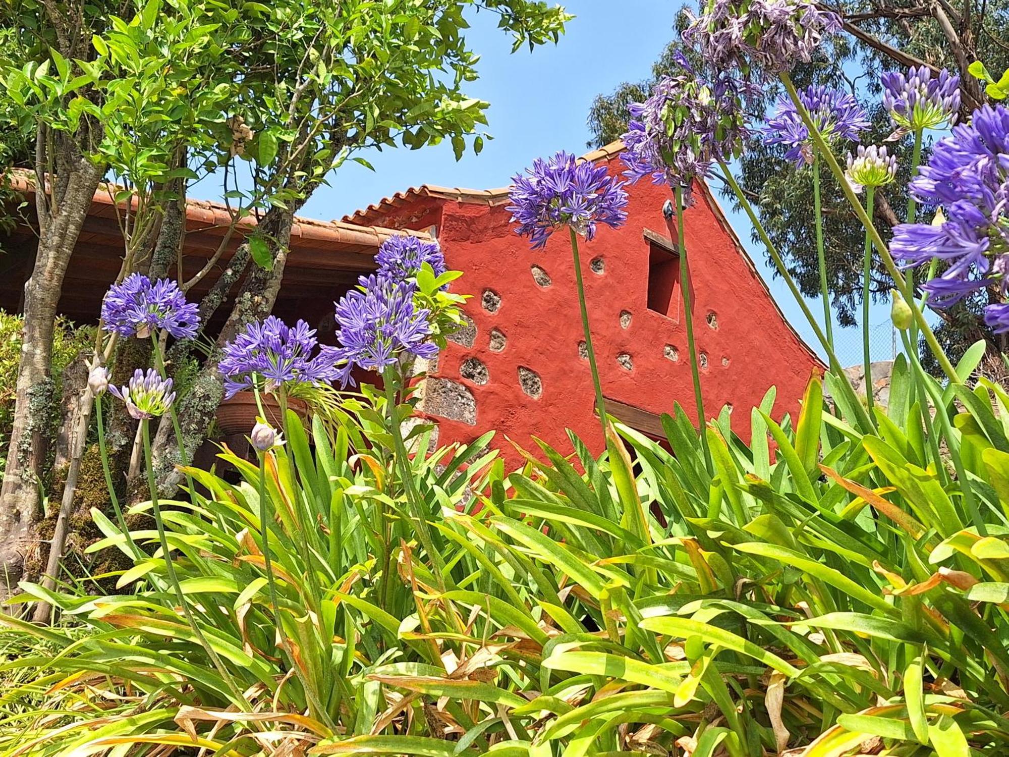 Casa Rural Con Piscina Privada El Roble Moya  Εξωτερικό φωτογραφία